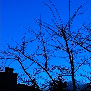 Meet your Posher, Gamal